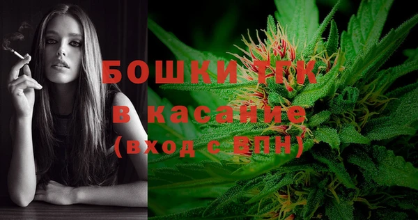 твердый Няндома