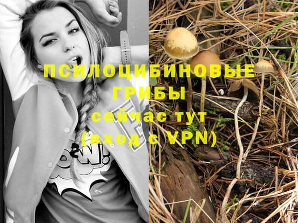 твердый Няндома