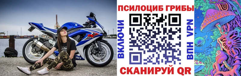 Галлюциногенные грибы Psilocybine cubensis  Зима 