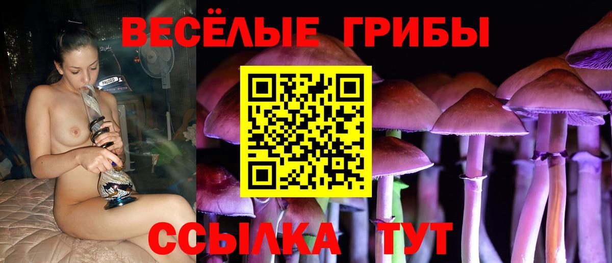 магазин  наркотиков  Вход с VPN  Зима  Галлюциногенные грибы мицелий 