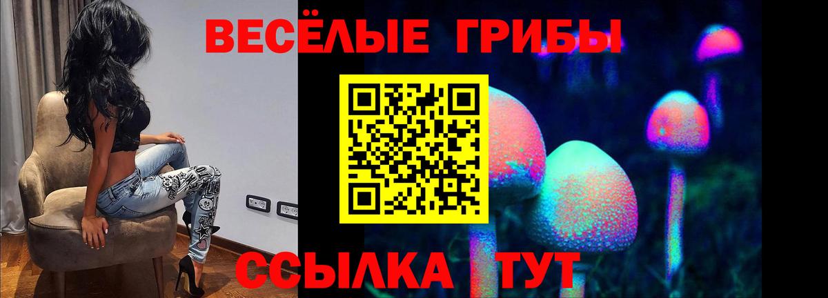 Конопля  МЕТ  МДМА  Зима  Вход с VPN  Мефедрон  