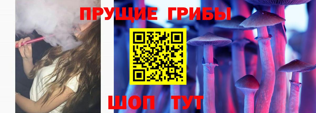 Псилоцибиновые грибы Cubensis Зима