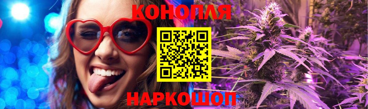 Марихуана план  Вход с VPN  Зима  Конопля индика 